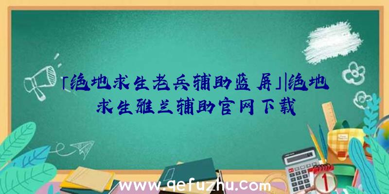 「绝地求生老兵辅助蓝屏」|绝地求生雅兰辅助官网下载